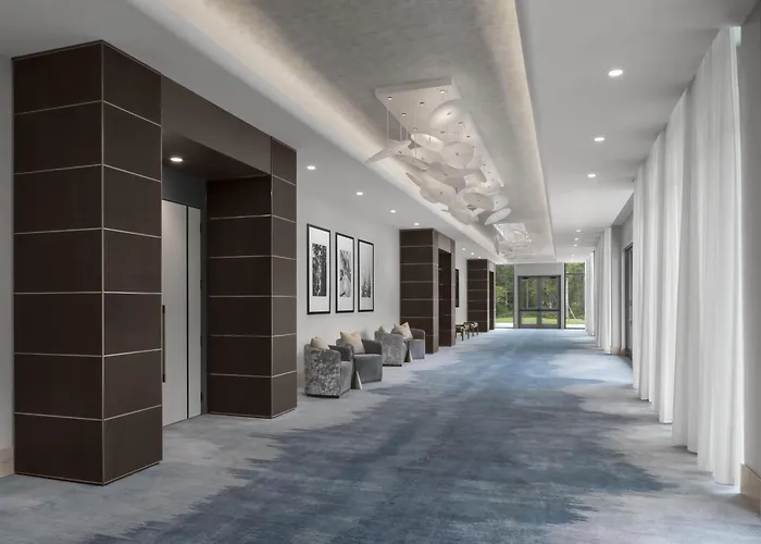 Hilton Jacksonville At Mayo Clinic Near Beaches